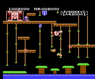 Donkey Kong Classics